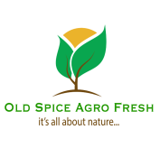 Old Spice Agro Fresh